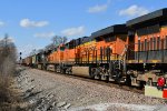 BNSF 6732 Roster shot